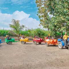 Barrel Train Barrel Train